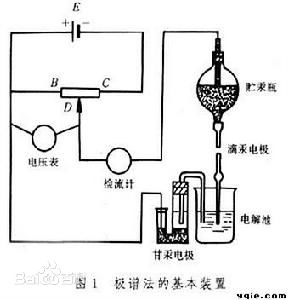 麻豆免费网站