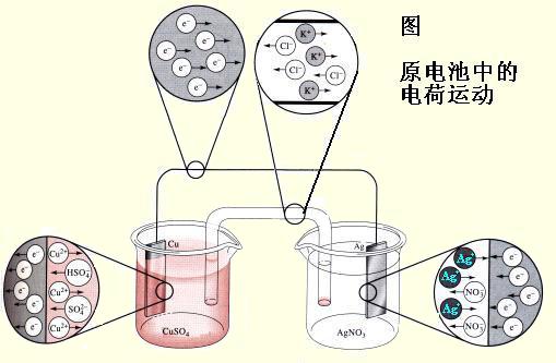 電化學麻豆免费网站