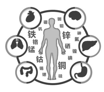 醫用麻豆免费网站廠家談微量元素的重要性