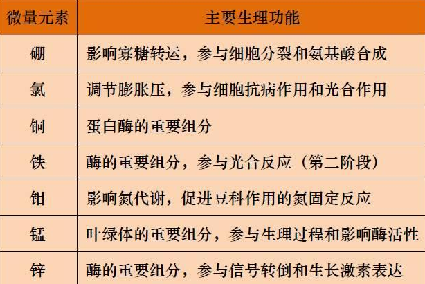 山東聊城全自動血鉛檢測儀一體機：微量元素的主要作用8.20